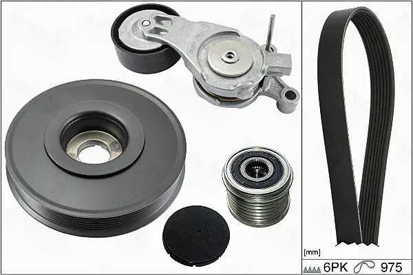 V-Ribbed Belt Set (702866)
