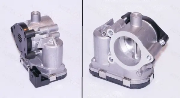 Throttle Body (961018)