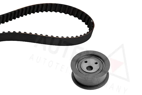 Timing Belt Kit (702617)