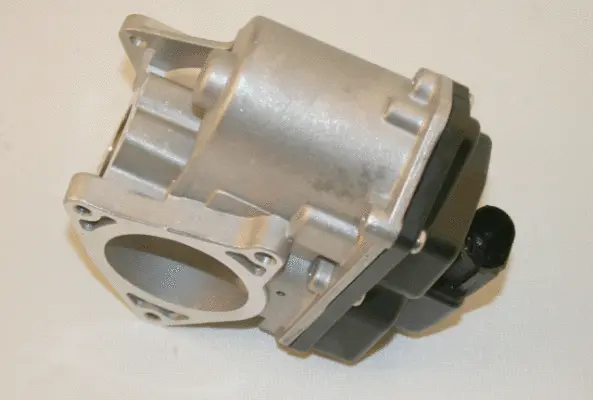 EGR Valve (959339)