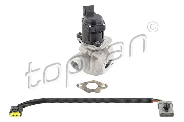 EGR Valve (639 156)