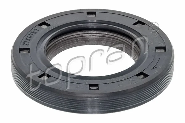 Shaft Seal, camshaft (302 251)