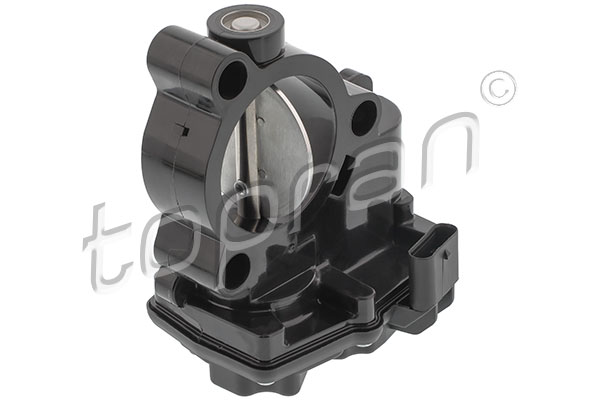 Throttle Body (504 199)