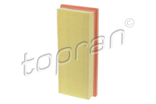 Air Filter (600 003)