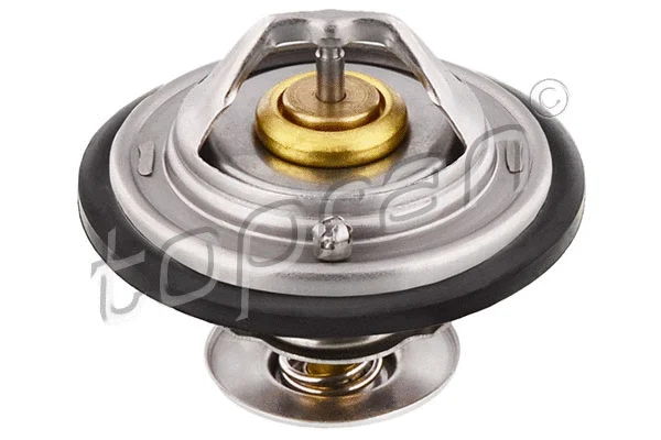 Thermostat, coolant (101 601)