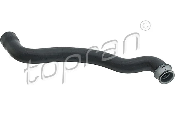 Radiator Hose (408 137)