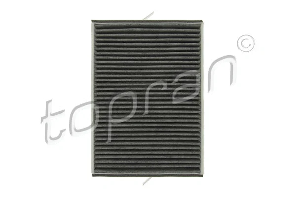 Filter, cabin air (600 088)