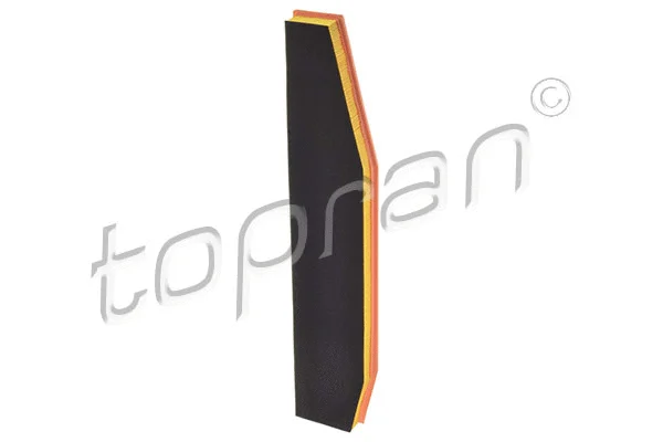 Air Filter (501 665)