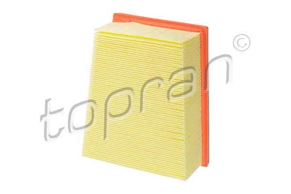 Air Filter (701 859)