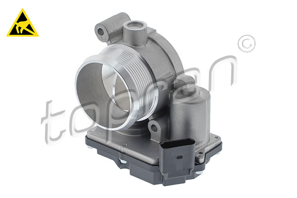 Throttle Body (119 503)