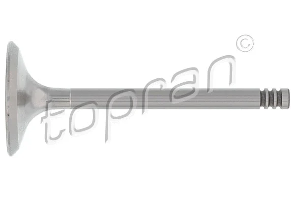 Intake Valve (100 823)