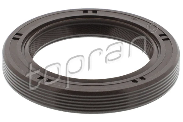 Shaft Seal, crankshaft (300 389)