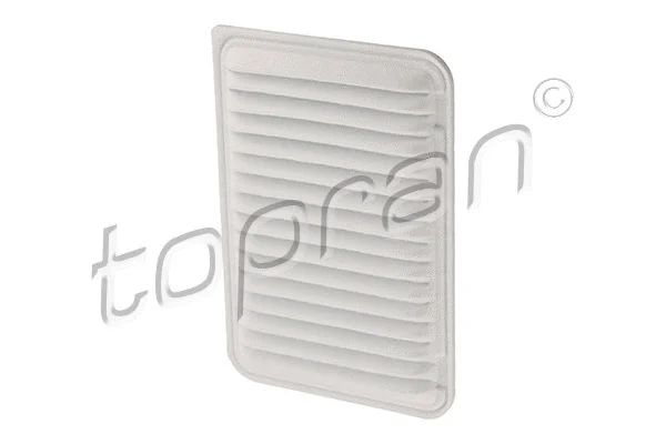 Air Filter (600 561)