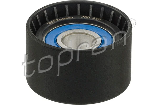 Deflection/Guide Pulley, timing belt (700 229)