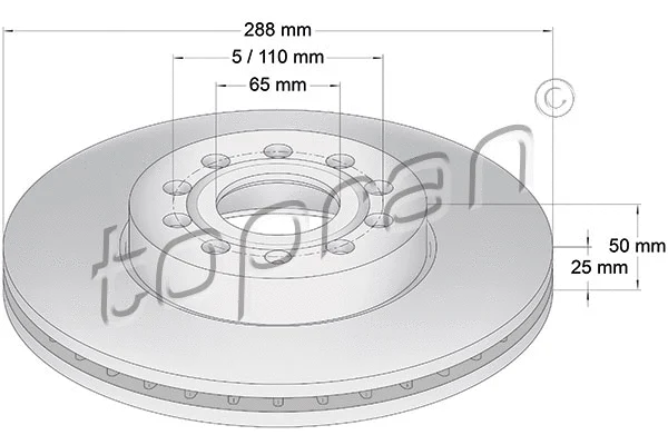 Brake Disc (110 075)