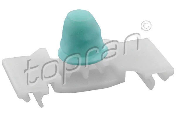 Clip, trim/protection strip