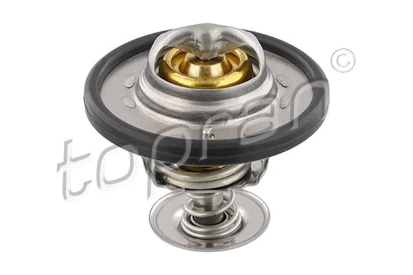 Thermostat, coolant (305 170)