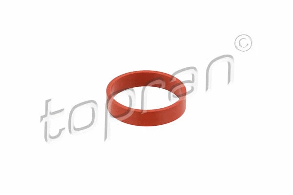 Gasket, intake manifold (501 271)