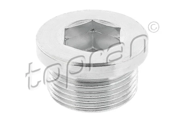 Screw Plug, transmission housing (118 930)