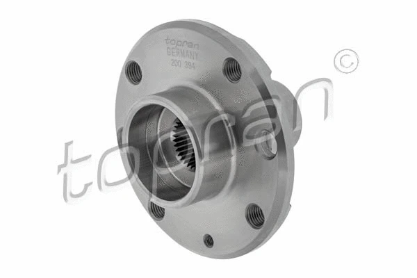 Wheel Hub (200 394)