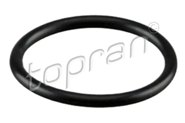 Seal Ring, oil drain plug (207 050)