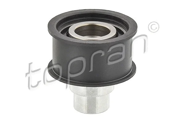 Deflection/Guide Pulley, timing belt (201 198)