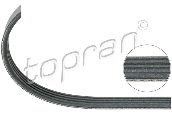 V-Ribbed Belt (205 749)