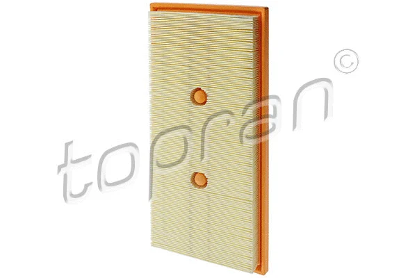 Air Filter (408 903)
