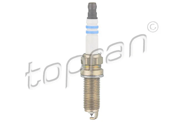 Spark Plug (701 891)