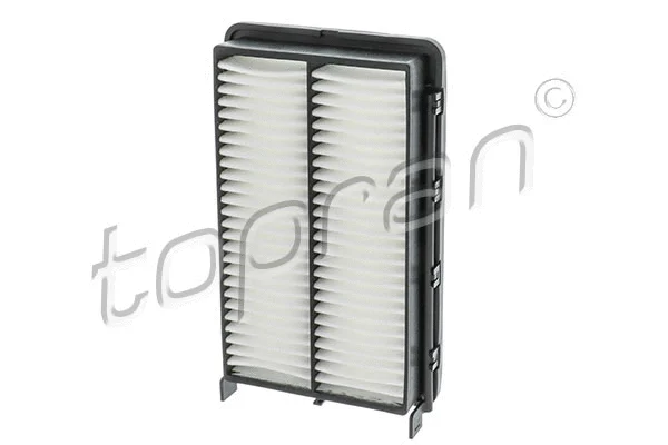 Air Filter (620 884)