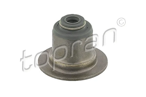Seal Ring, valve stem (302 179)