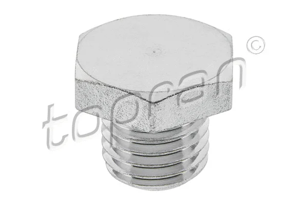 Screw Plug, oil sump (504 137)