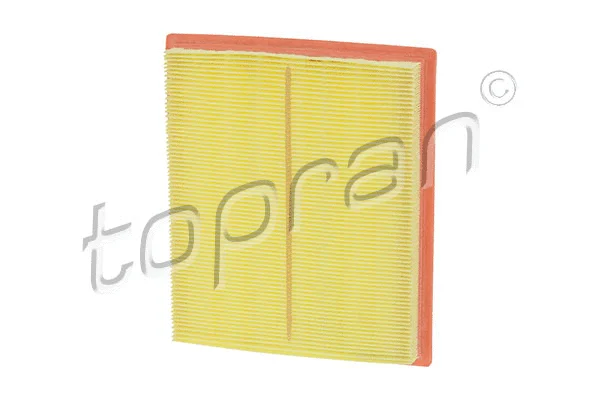 Air Filter (600 026)
