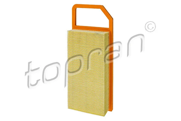 Air Filter (720 961)