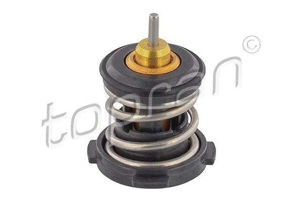 Thermostat, coolant (116 998)