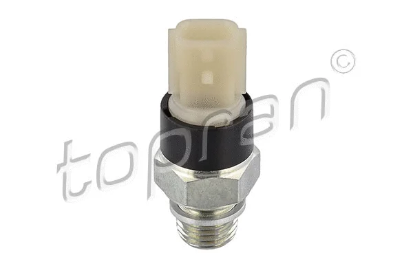 Oil Pressure Switch (207 821)