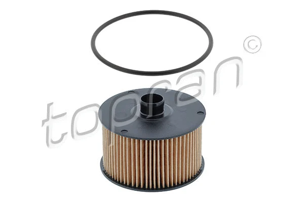 Oil Filter (701 062)