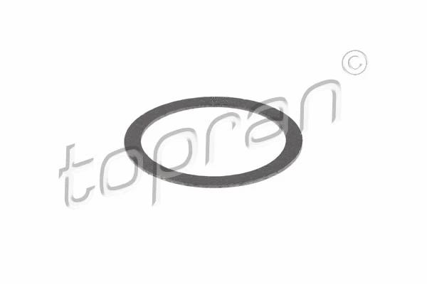 Gasket, exhaust pipe (205 643)