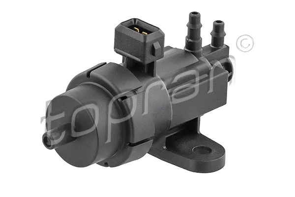 EGR valve, exhaust control (304 996)