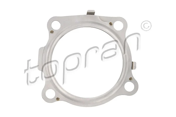 Gasket, exhaust pipe (305 093)