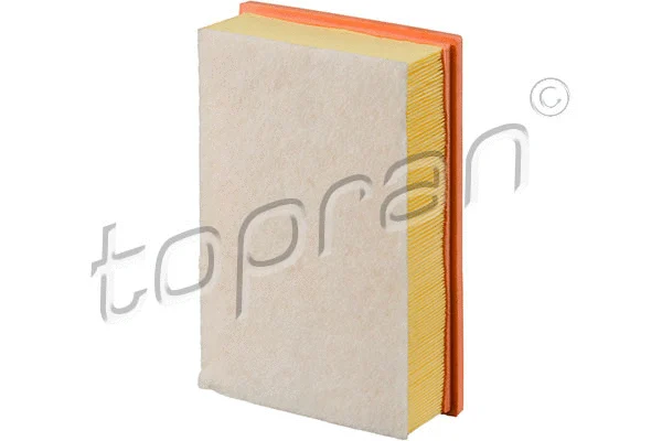 Air Filter (114 984)