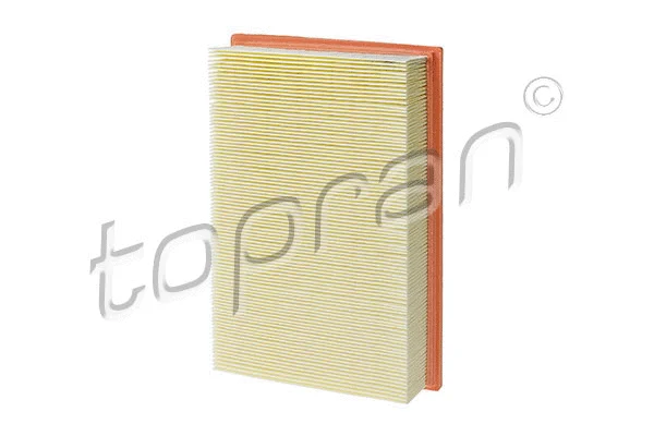 Air Filter (103 175)
