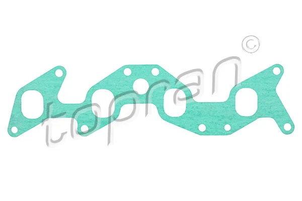 Gasket, intake manifold (201 678)