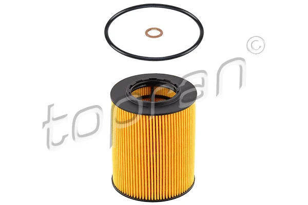 Oil Filter (500 734)