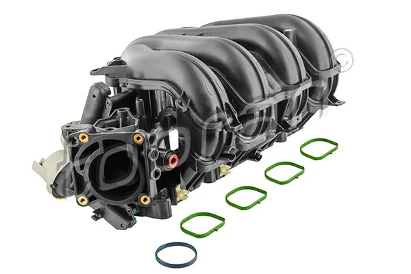 Intake Manifold Module (305 271)