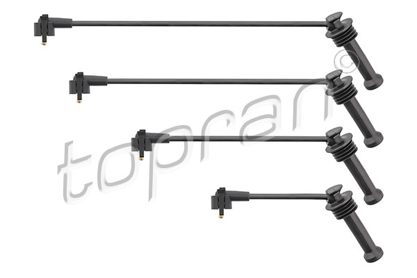 Ignition Cable Kit (300 703)