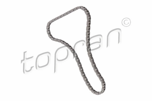 Timing Chain (117 283)