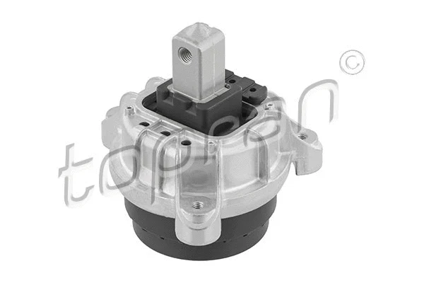 Mounting, engine (634 441)