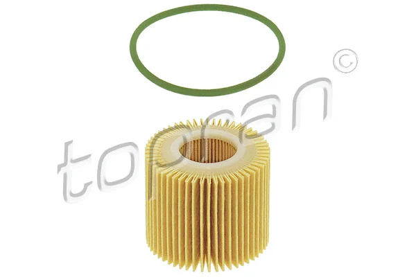 Oil Filter (600 037)