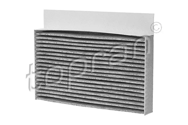 Filter, cabin air (700 743)